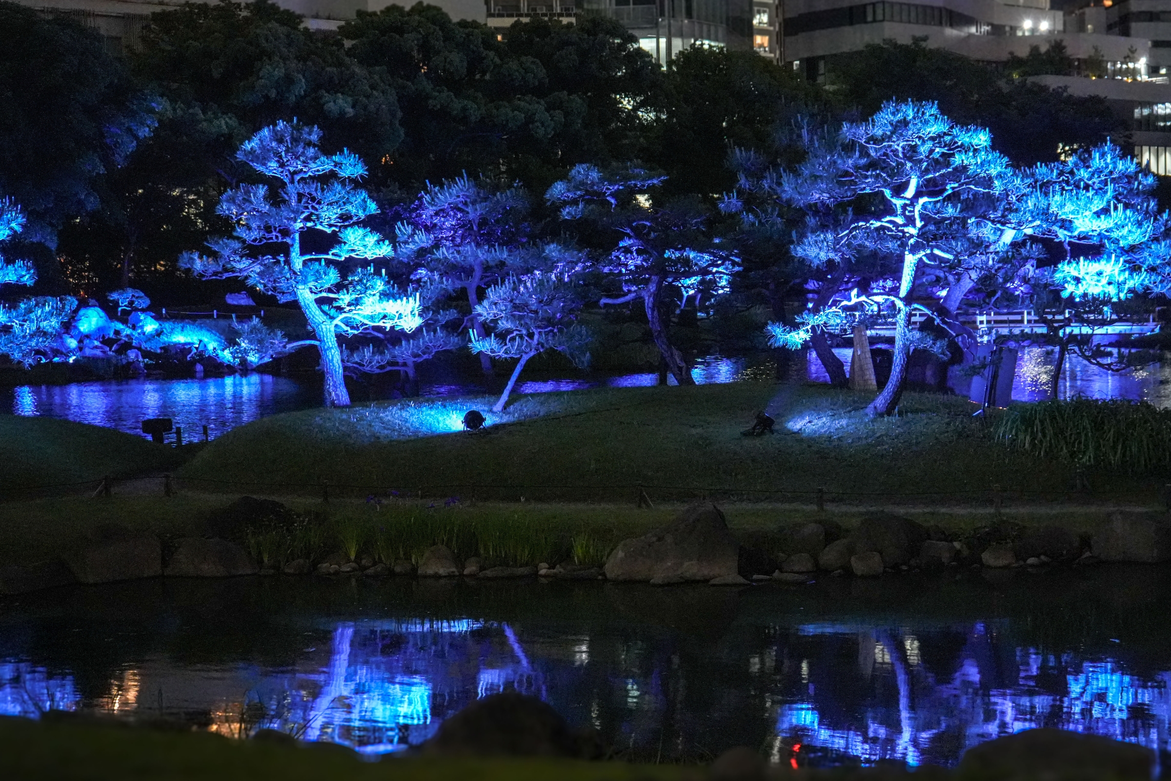 旧芝離宮夜会 by ワントゥテン ～ひかりめぐる庭～