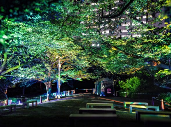 旧芝離宮夜会 by ワントゥテン ～ひかりめぐる庭～