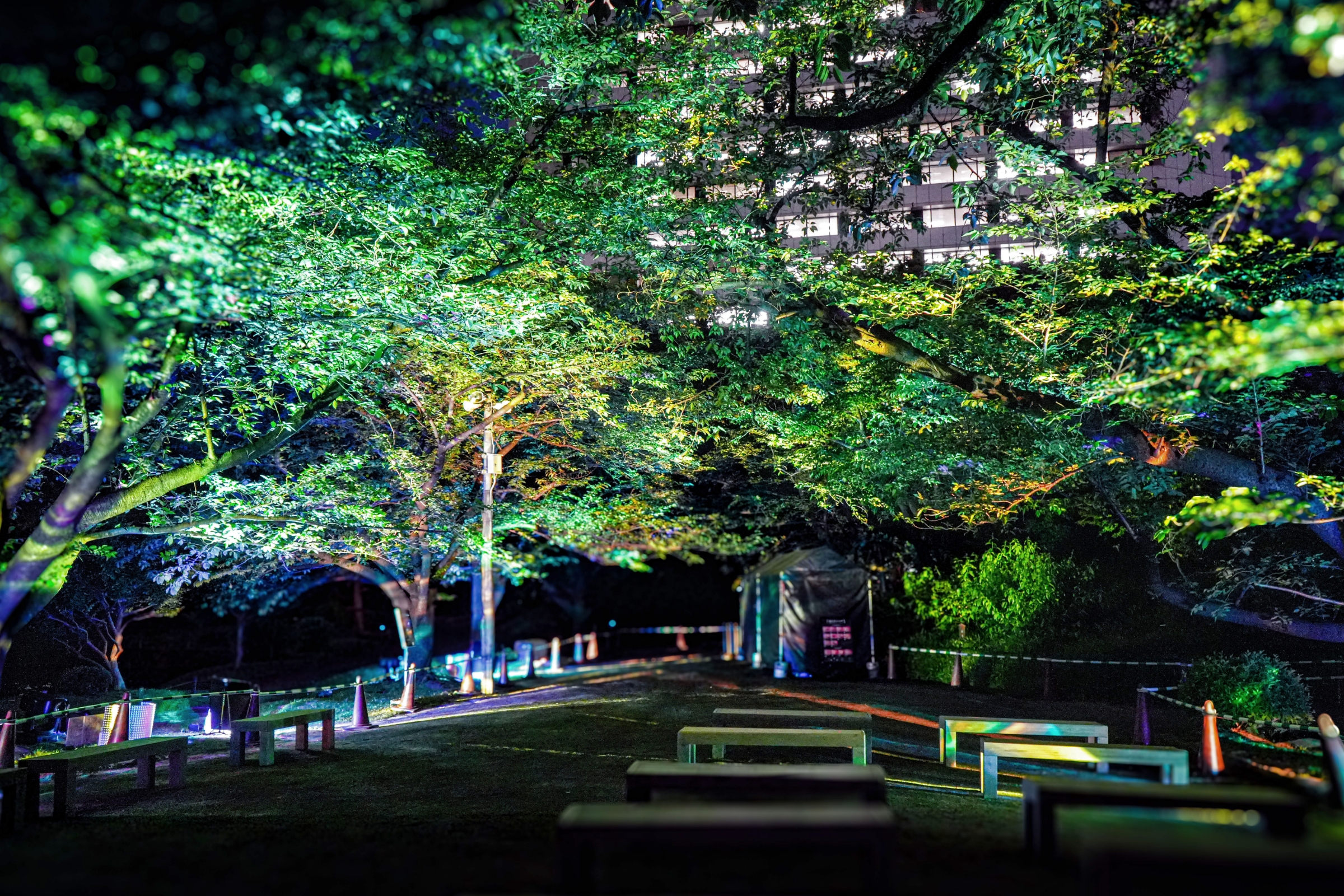 旧芝離宮夜会 by ワントゥテン ～ひかりめぐる庭～